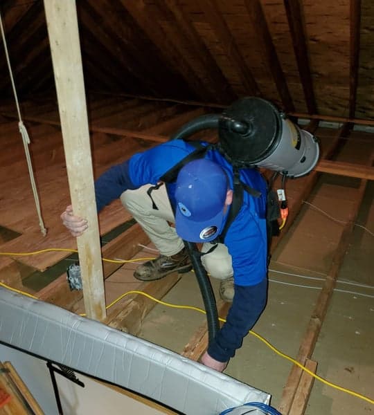 HEPA vacuuming during mold remediation in attic